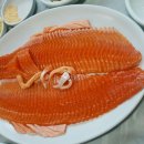 천궁송어 | 영월 송어회 : 영월에서 꼭 먹는 천궁 송어(가격 1kg 3만원)