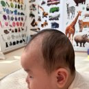 주식회사 한헬스케어 판교센터 | 4개월간의 사두 단두 아기 두상교정 헬멧 하니헬멧 한헬스케어 판교센터 내돈내산 찐후기