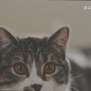 광교산동물병원 이미지