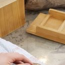 미어캣인더시티 이미지