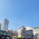 늘봄반려견유치원 이미지