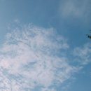 초록빛언덕글램핑 이미지