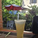 라 테라스(La Terrasse) | [세부 오슬롭] 맛집 추천 라테라스 라테라쎄 La Terrasse Restaurant