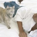 세계로종합동물병원 이미지