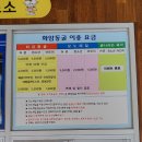 [강원도] 정선1박2일 완전 무계획 일정
