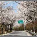 풍생고정문 앞 이미지