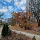 학운공원 쪽 이미지