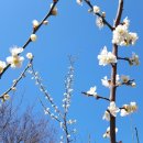 개화마을 이미지