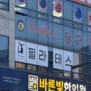 정림 | [대전/서구] 정림동 필라테스 추천 온유필라테스 정림점 1:1 프라이빗 후기