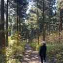 병길농장 이미지