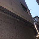 지코바정관
