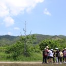 묘량중앙초등학교 이미지