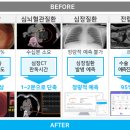 앤서 서울신문