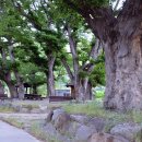 느티마을 이미지