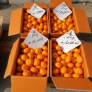 전의왕의물시장 이미지