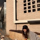 뽀송뽀송 이미지