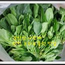 경환농장 이미지