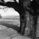 야로고등학교 이미지