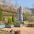 삼선산수목원 벚나무 이미지