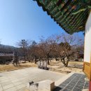 구이나라 | 직지사에서 사명대사의 발자취를 따라 걷는 김천 힐링 여행 및 가볼만한곳