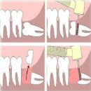 로고스치과병원 이미지