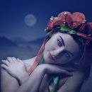 행정사 하문희사무소 이미지