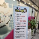 설렘고양이카페 이미지