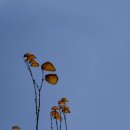 스무숲공원 이미지