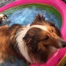 예산 위드엔젤 이미지