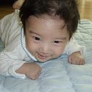 박우성