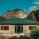 퐁낭그늘 이미지