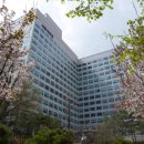 세종대 태권도 이미지