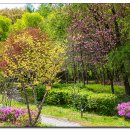 상그린로 이미지