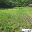 두란농장 이미지