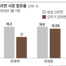 1.1 퍼 차이로 좁혀진 진라면 vs 신라면 점유율(봉지만 카운트시 역전) 이미지