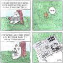 헤어스프레이 - 김져니 이미지