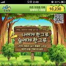 폰나무