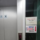 우리들빨래터 | 대구남구 빨래터공원 앞산겨울정원 크리스마스산타축제 주차 및 후기