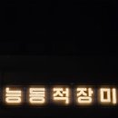 능동적장미 | [술집리뷰:능동적장미 군자점] 군자 감성 맛집 곱창전골 솔직후기(좀질김)