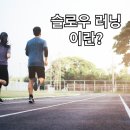 헬스카우 이미지