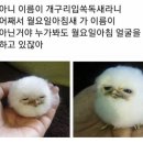 아주공업사 이미지