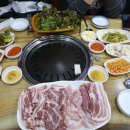 돼지개띠 이미지