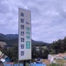 솔밭펜션 캠핑장 | 가평 계곡 캠핑장 솔밭펜션캠핑장 후기 정보 : ) 사이트 넓어서 좋아요!!!