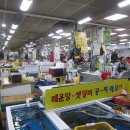 주문진수산시장 Daum카페