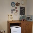 나무사이로 햇살이 이미지