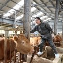 이스턴24시동물병원 이미지