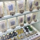 클라우드독 미용실 | 김포 애견동반 카페 [ 문클라우드독 ] 수제 간식 | 원데이 클래스 “̮