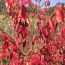 가을농장 이미지