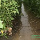 지경하우스 이미지