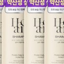 샴푸호텔 이미지